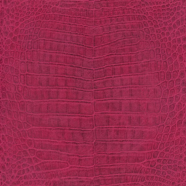528701_1.jpg