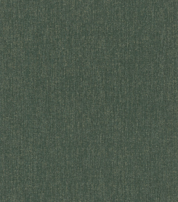 545470_1.jpg
