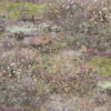 915839_1.jpg