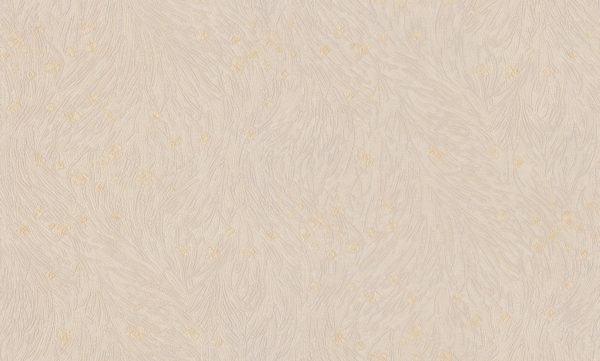 TS10018_1.jpg