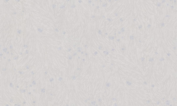 TS10022_1.jpg
