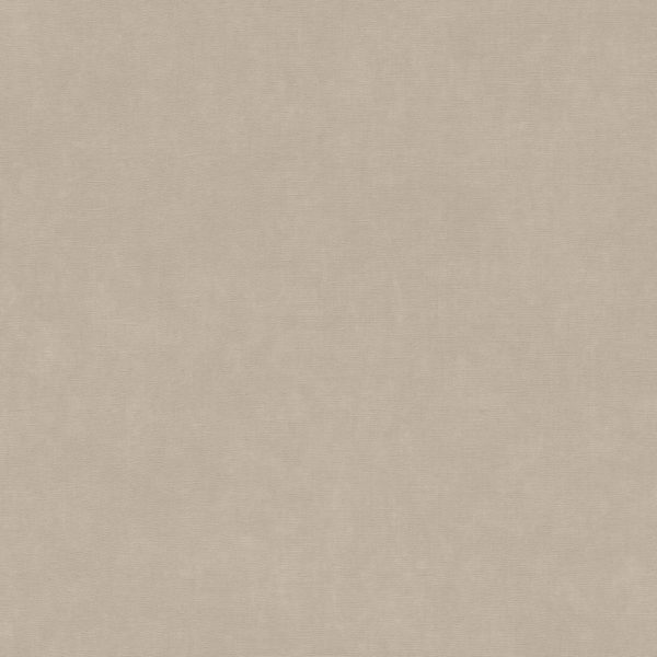 330038_5.jpg